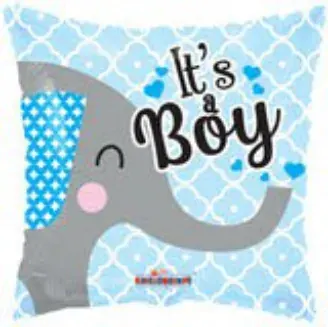 It's a Boy elephant