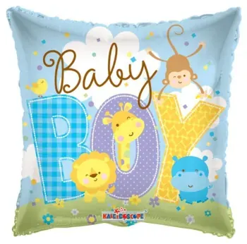 Baby Boy animal letters