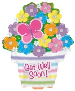 Get Well Soon flower pot