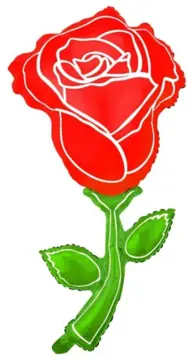 Long-stem red rose